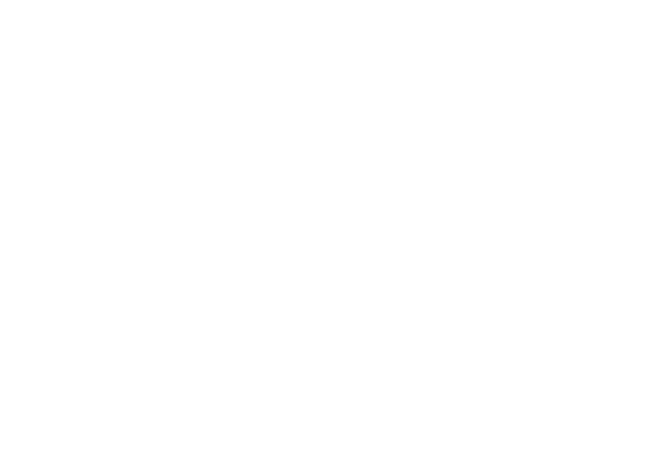 Millen Plaza